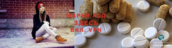 ГАЛЛЮЦИНОГЕННЫЕ ГРИБЫ Алзамай