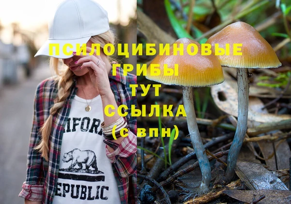 ГАЛЛЮЦИНОГЕННЫЕ ГРИБЫ Алзамай