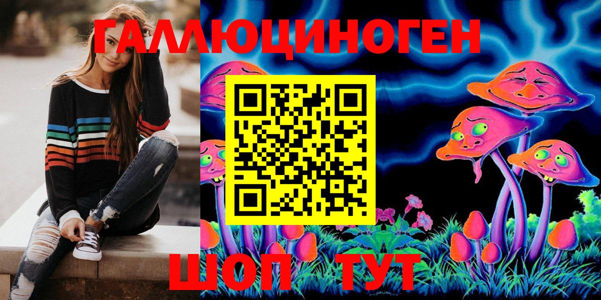 Псилоцибиновые грибы Psilocybe Нижнеудинск