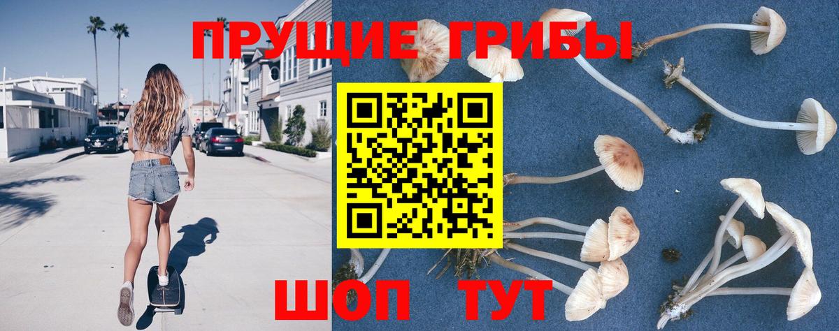 Псилоцибиновые грибы мухоморы  Псилоцибиновые грибы мицелий  Нижнеудинск  Вход с VPN 